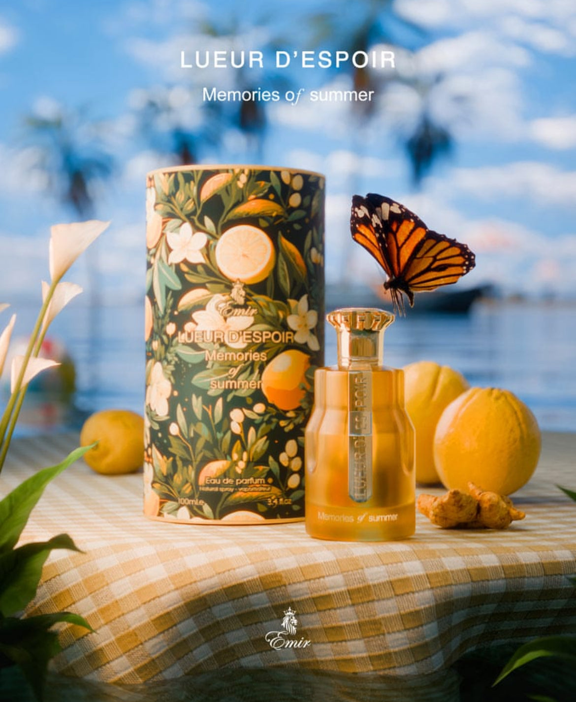 Memories of summer - Lueur d'espoir - Emir